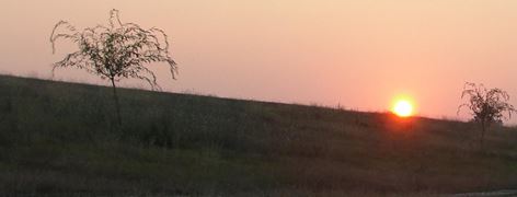 Moara Vlasiei 2 12 - 14 aug.